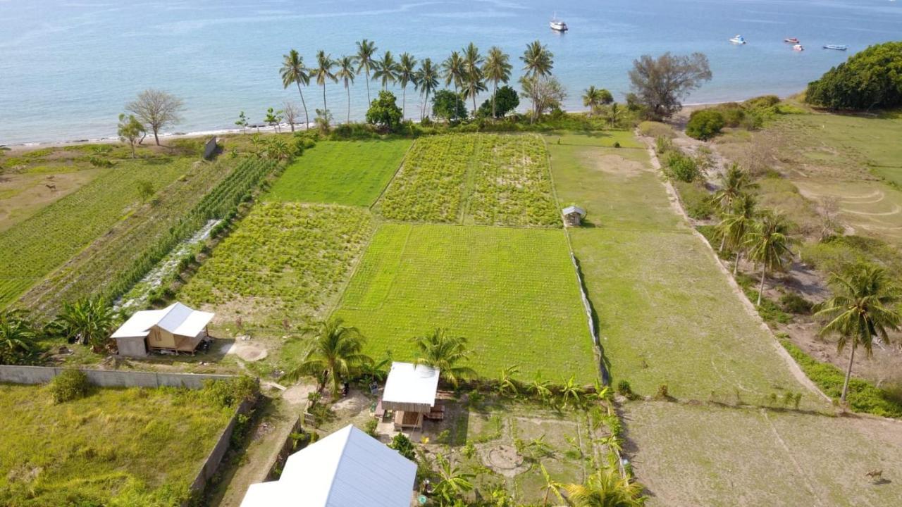 The Daun Puntik Homestay Pemenang Eksteriør bilde