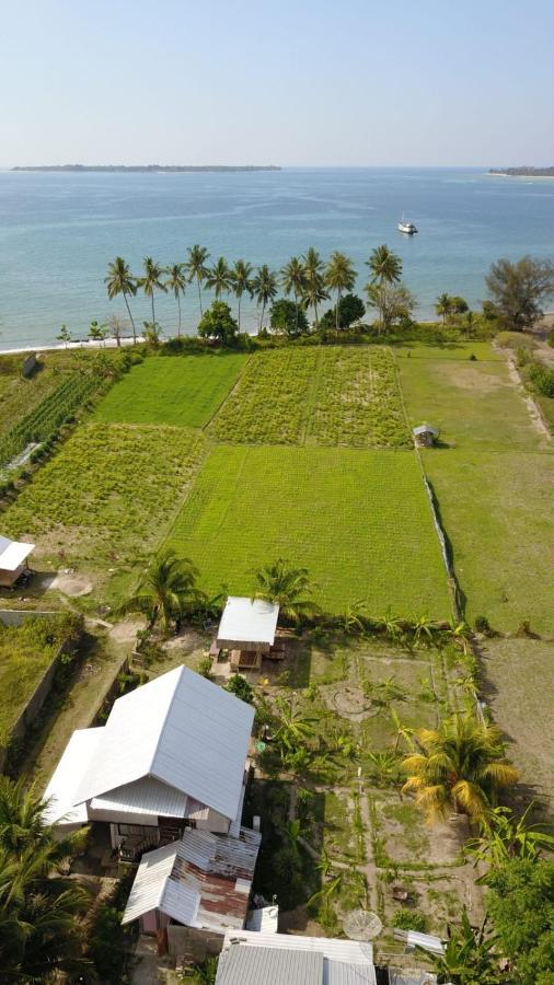 The Daun Puntik Homestay Pemenang Eksteriør bilde
