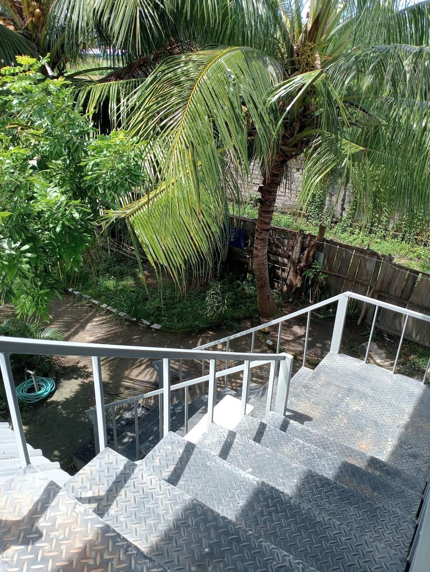 The Daun Puntik Homestay Pemenang Eksteriør bilde