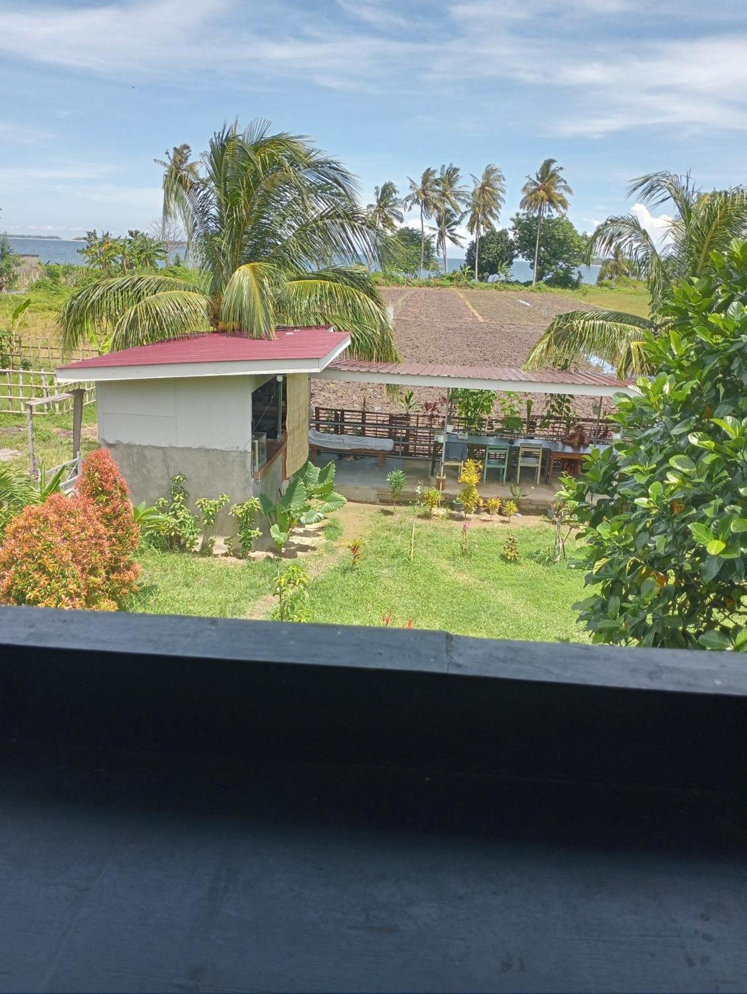 The Daun Puntik Homestay Pemenang Eksteriør bilde