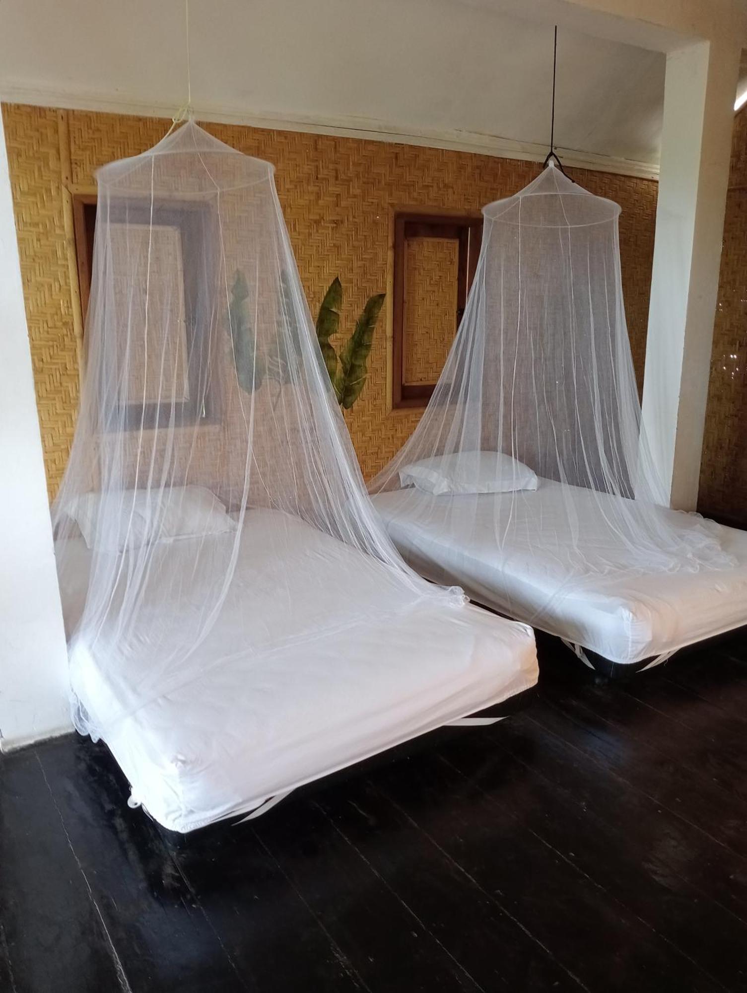 The Daun Puntik Homestay Pemenang Eksteriør bilde