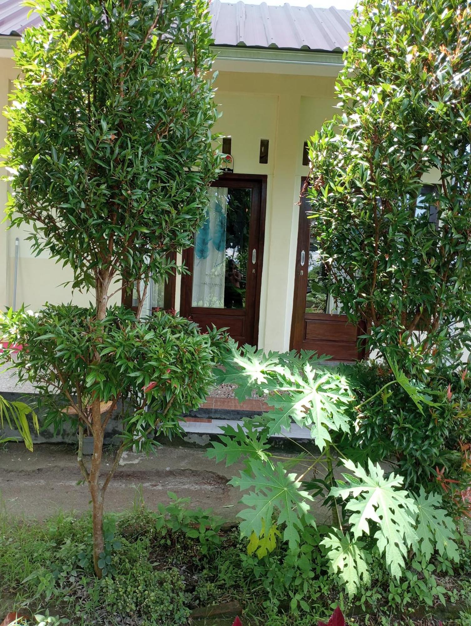 The Daun Puntik Homestay Pemenang Eksteriør bilde